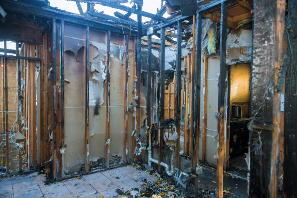 Professional Fire Damage Removal technician working in Glendale, AZ
